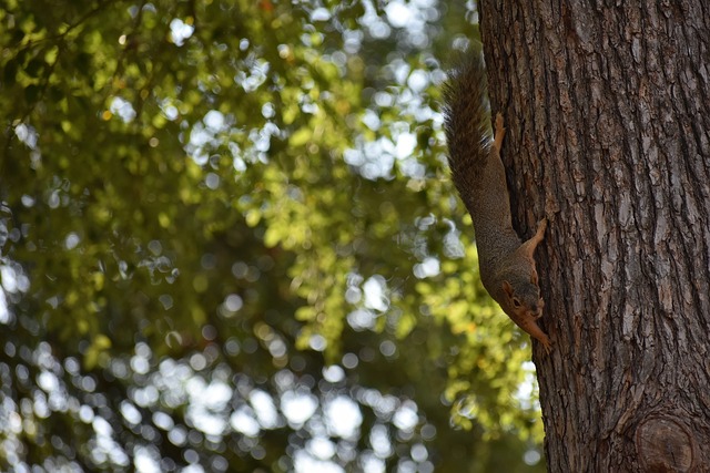 是斯特林职 是斯特林职