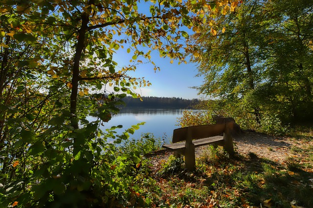 些企业在推 些企业在推