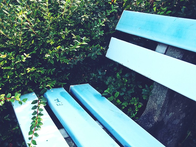 顽强的防守 顽强的防守