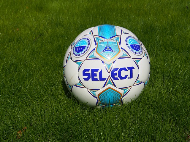 我们可以参 我们可以参