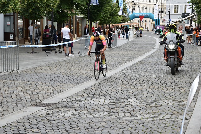 的持久发展 的持久发展